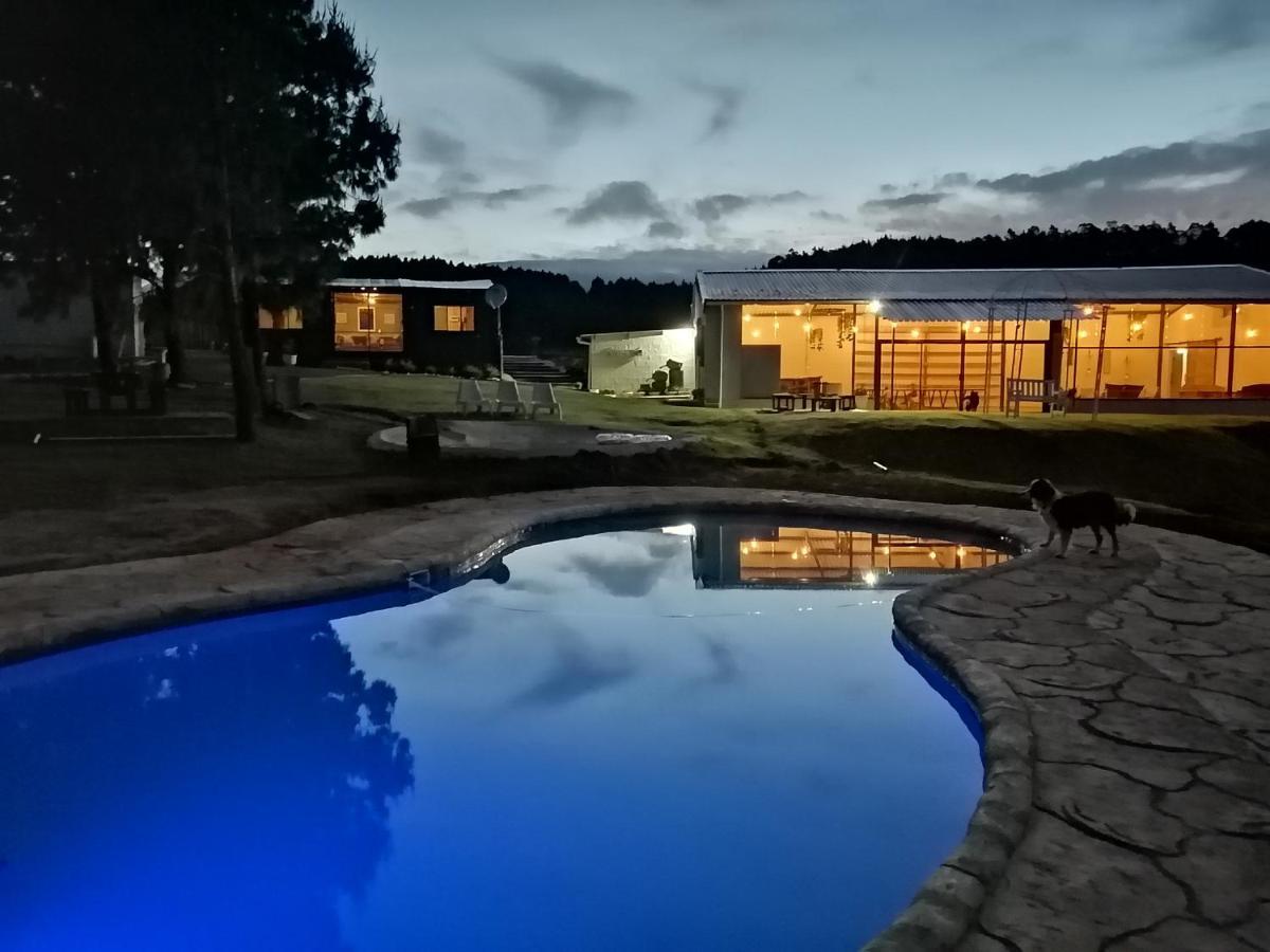 Dargle Forest Lodge Exteriör bild
