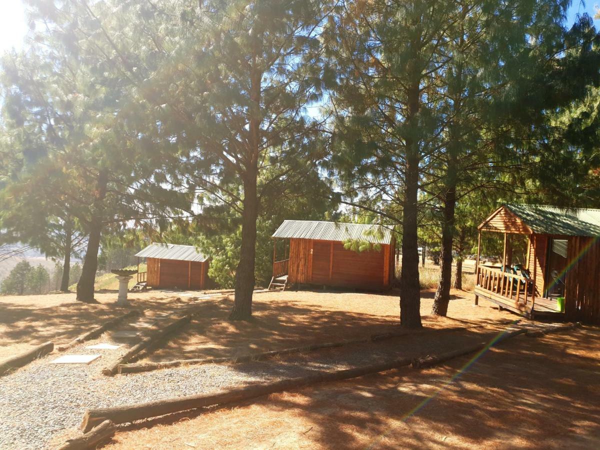 Dargle Forest Lodge Exteriör bild